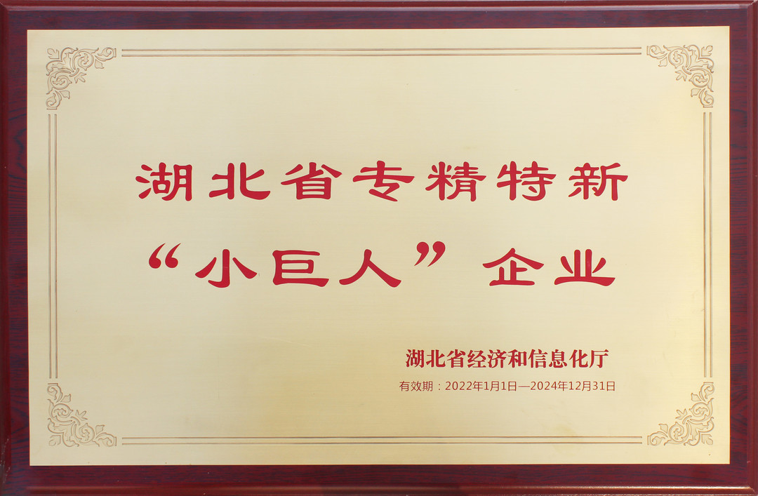 專精特新小巨人