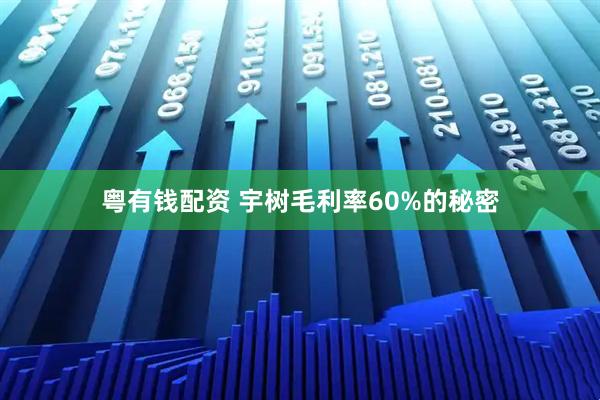 粤有钱配资 宇树毛利率60%的秘密