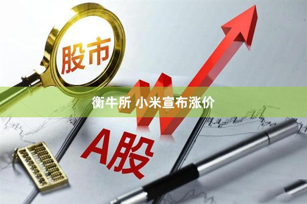 衡牛所 小米宣布涨价