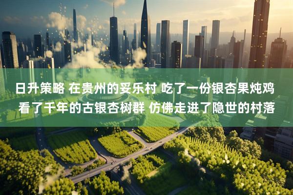 日升策略 在贵州的妥乐村 吃了一份银杏果炖鸡 看了千年的古银杏树群 仿佛走进了隐世的村落