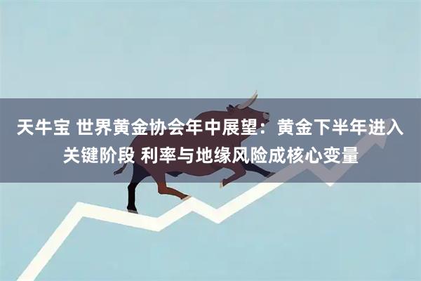 天牛宝 世界黄金协会年中展望：黄金下半年进入关键阶段 利率与地缘风险成核心变量