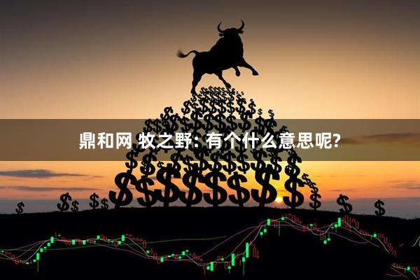 鼎和网 牧之野: 有个什么意思呢?