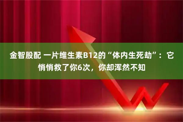 金智股配 一片维生素B12的“体内生死劫”：它悄悄救了你6次，你却浑然不知
